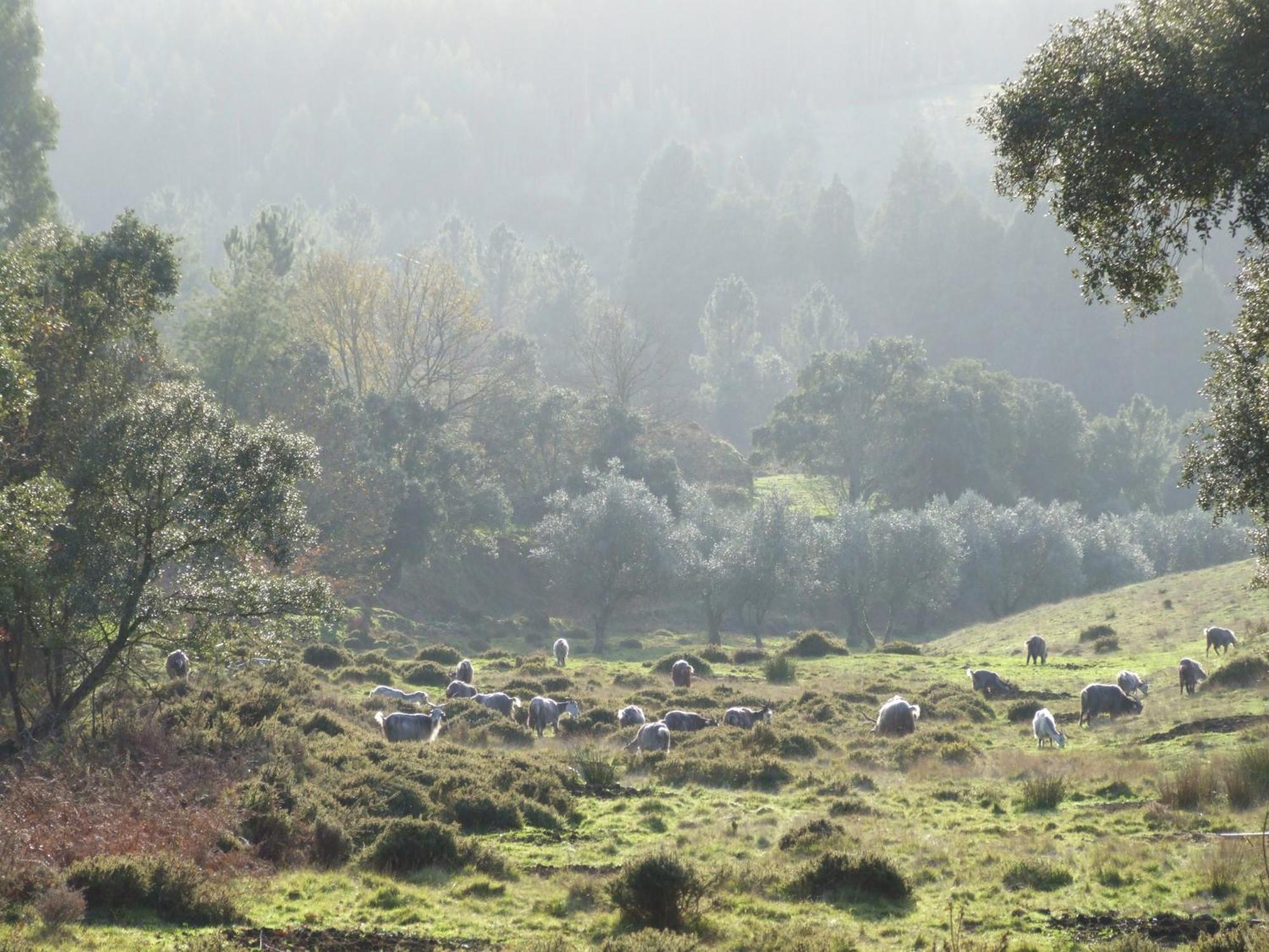 Vumba Agroturismo 아르가닐 외부 사진