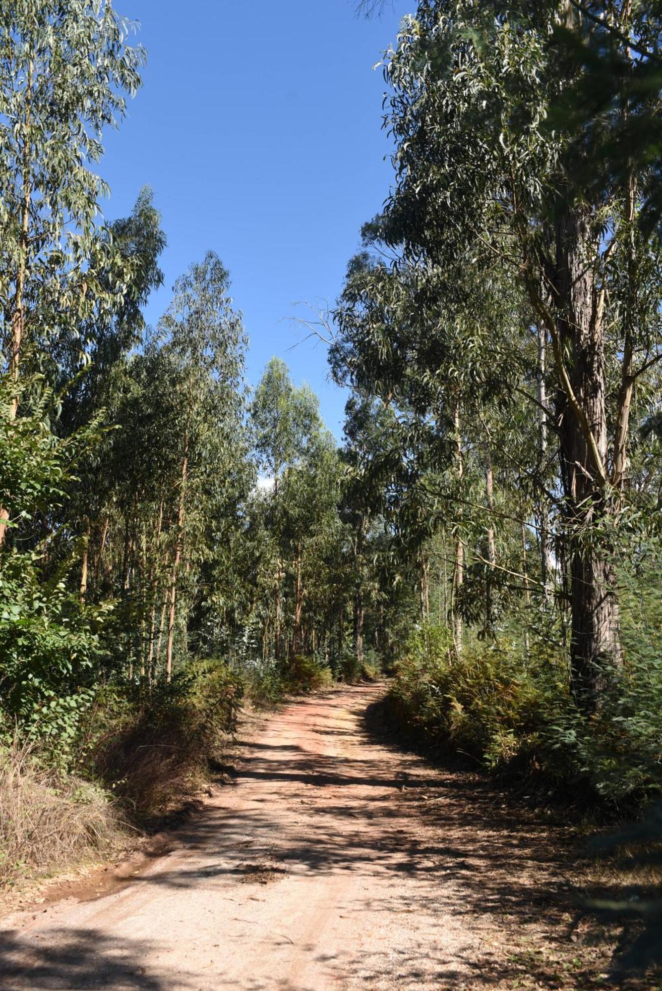 Vumba Agroturismo 아르가닐 외부 사진