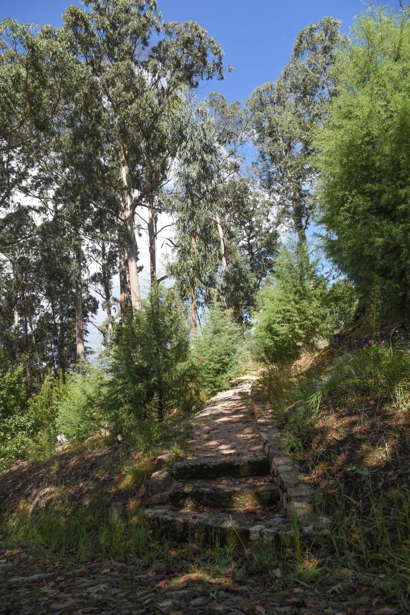 Vumba Agroturismo 아르가닐 외부 사진