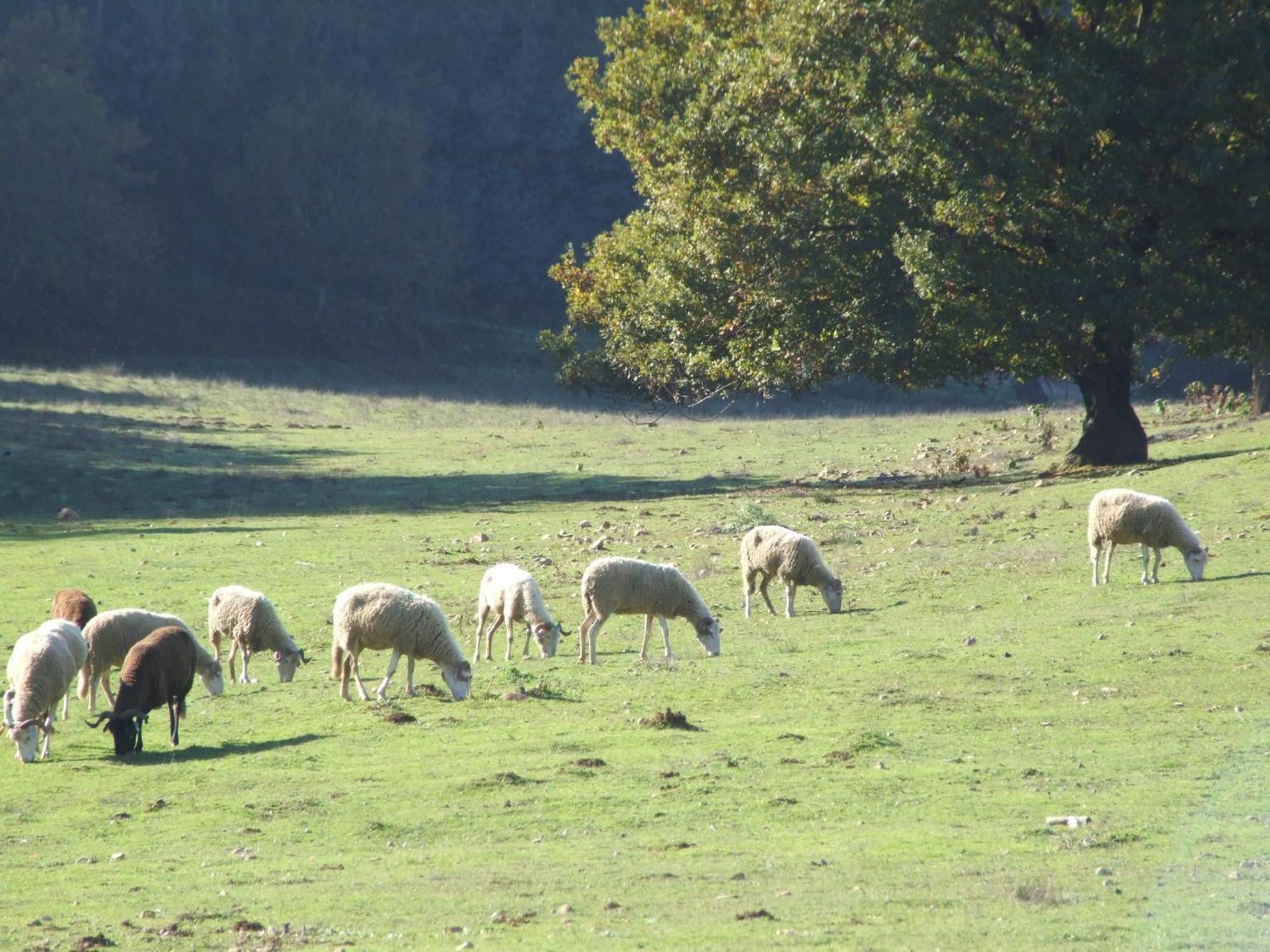 Vumba Agroturismo 아르가닐 외부 사진
